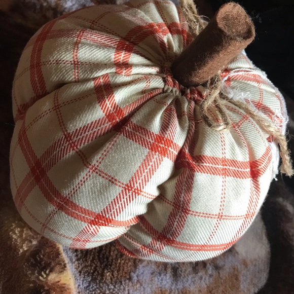 Fall plush pumpkin - Picture 2 of 3